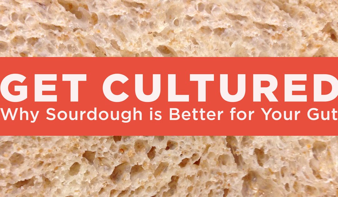 Get Cultured: Why Sourdough is Better for Your Gut
